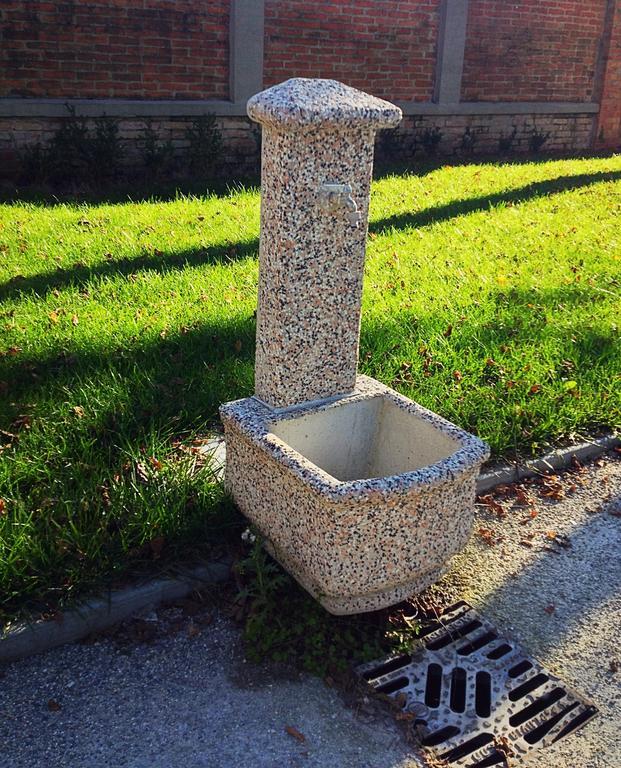 Villa Delle Rose Portogruaro Bagian luar foto